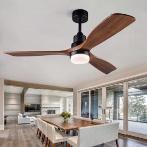 Ceiling fan